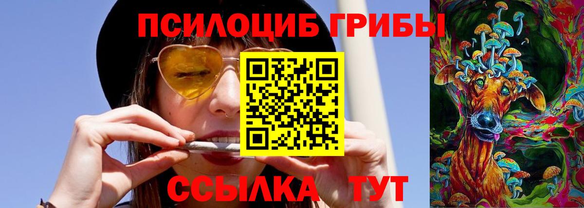Псилоцибиновые грибы GOLDEN TEACHER  купить   Заречный  Вход с VPN 